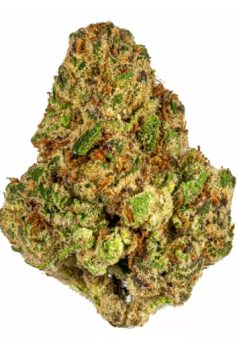 Lava Cake